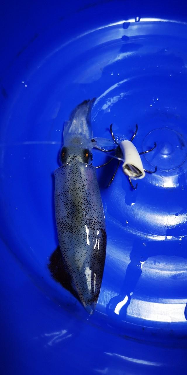 香港最后一片净土避世天堂,香港西贡一日游攻略图