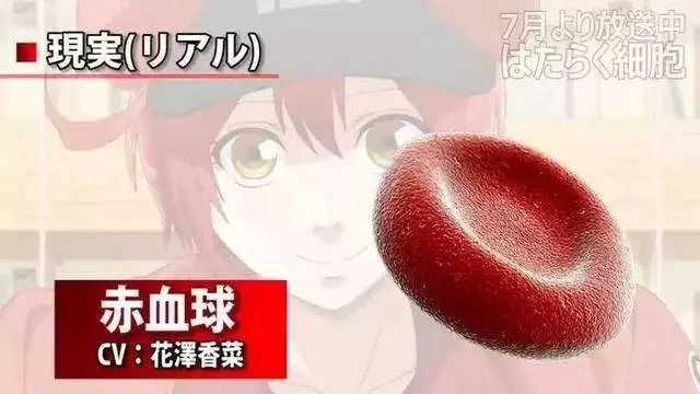 牛油果团子|用这颗绿色*榴弹手**炸掉一切沉闷