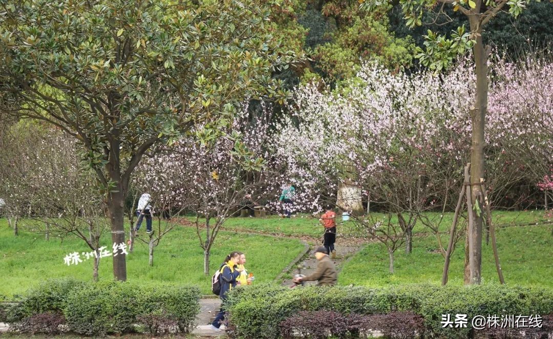 331国道临江往上下一站是什么地方,331国道绥芬河下一站到哪