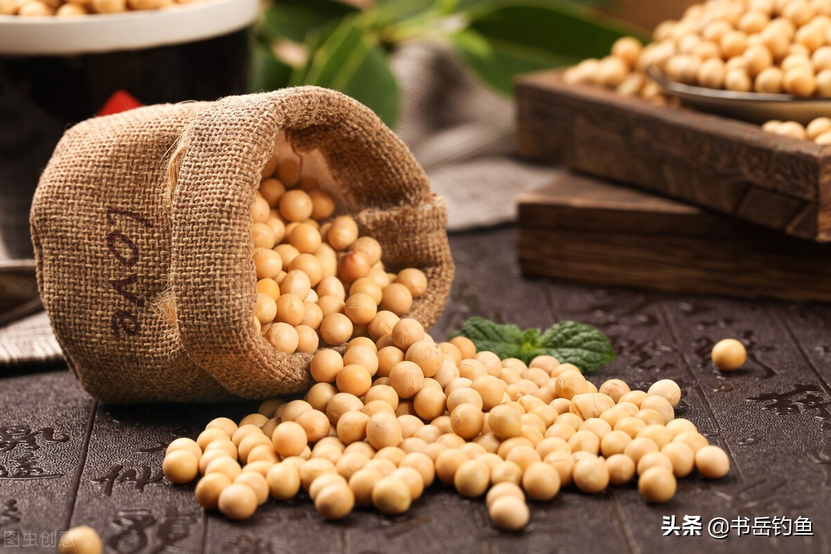 为什么鱼粉越来越涨,鱼粉上涨最新消息