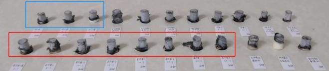 怎么分真假蕲艾,蕲艾的真假辨别