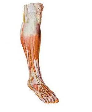 打球崴脚肿了怎么处理,打球崴脚怎么做简单处理