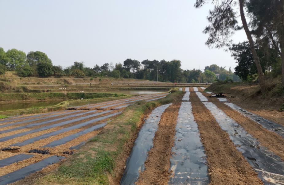 产业就业扶贫助力精准脱贫,5000亿扶贫资金