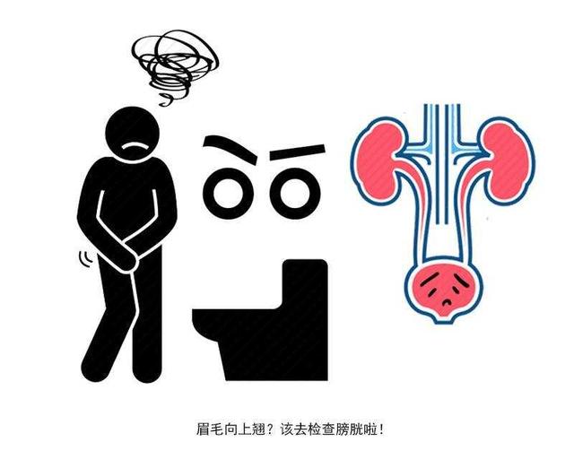 男人得了前列腺炎,男人得了前列腺炎吃什么药最好