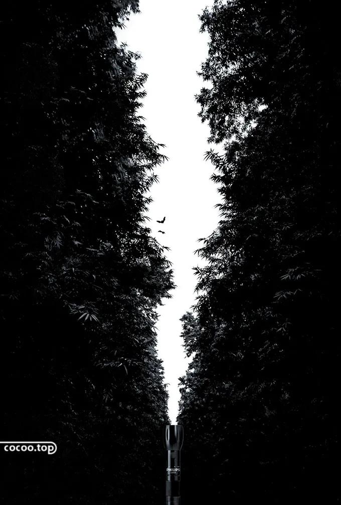 平面设计如何利用好空间和布局,平面设计感觉啥也不会