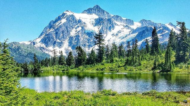 尼康唯卓仕851.8和永诺851.8哪个好,尼康佳能单反怎么选