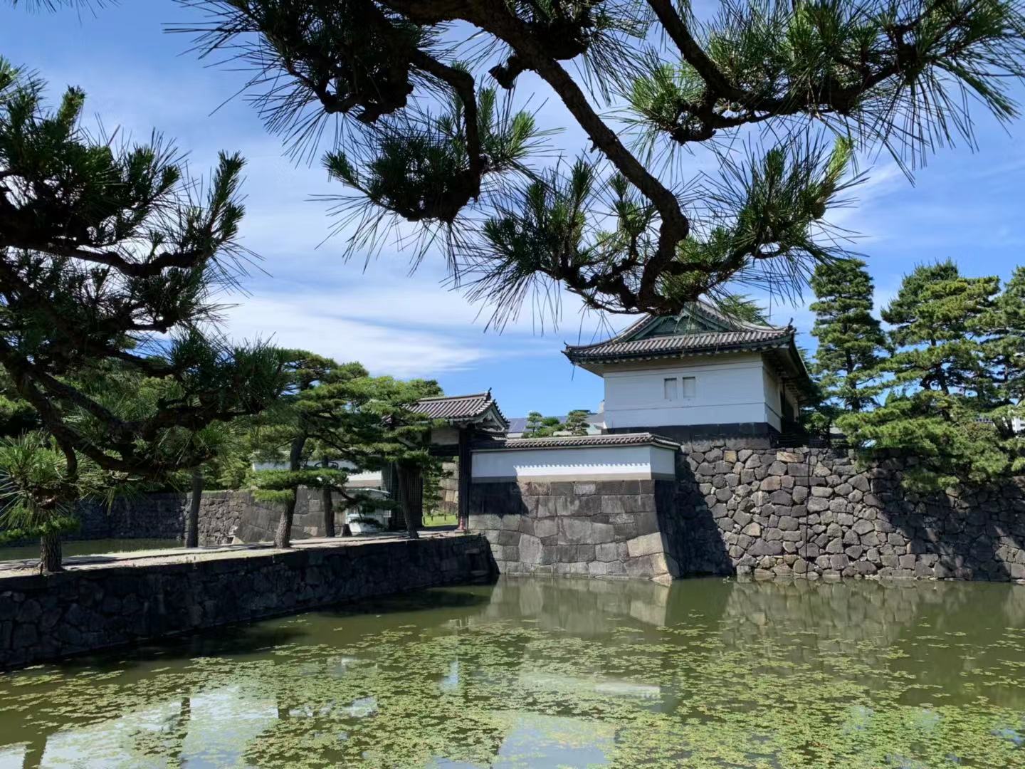 东京游记攻略,东京旅游指南攻略