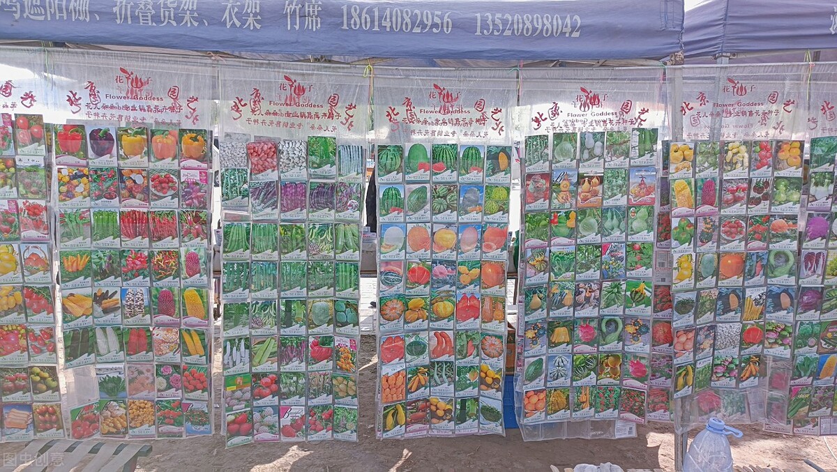 现代社会有旱灾吗,现代会出现旱灾吗