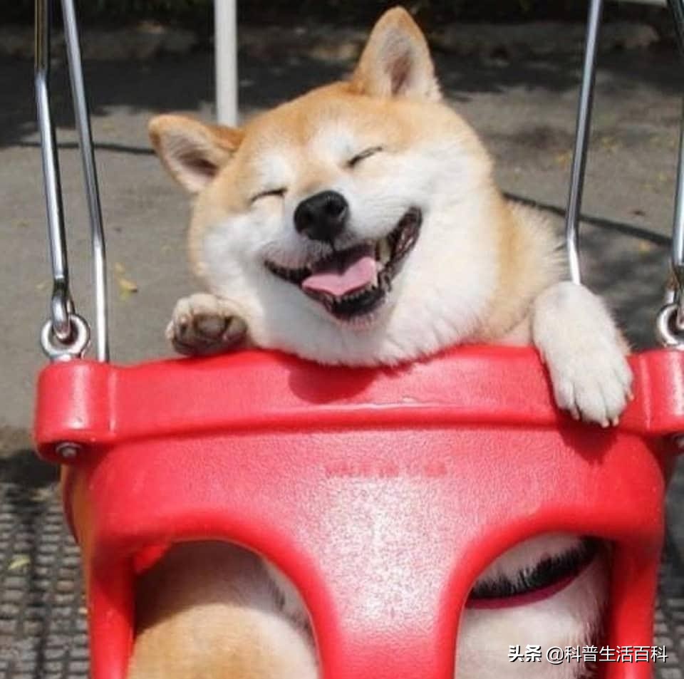 家里面有必要买跑步机吗,家里面买跑步机有必要吗