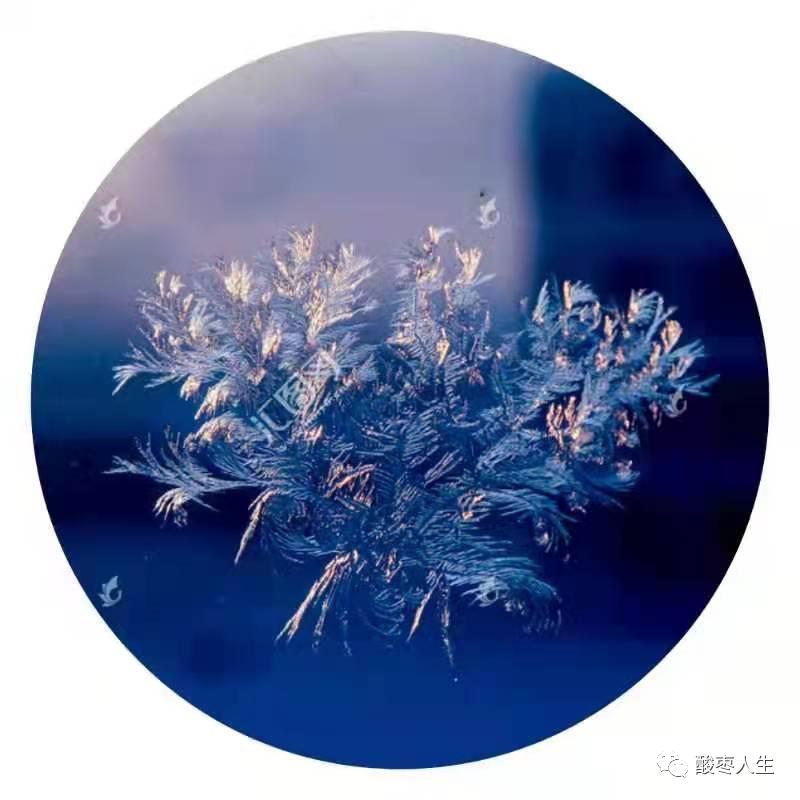 《散文美刊》「霜花中的梦想」|王德明（诵读：丁丁）