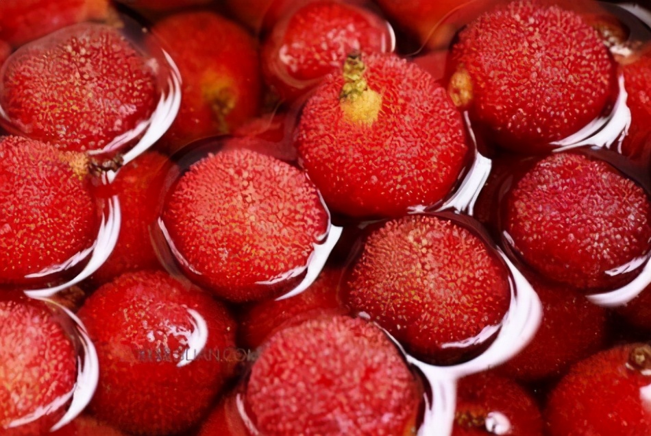 怎样洗杨梅的虫子不要小苏打,洗杨梅怎么洗虫子会跑出来