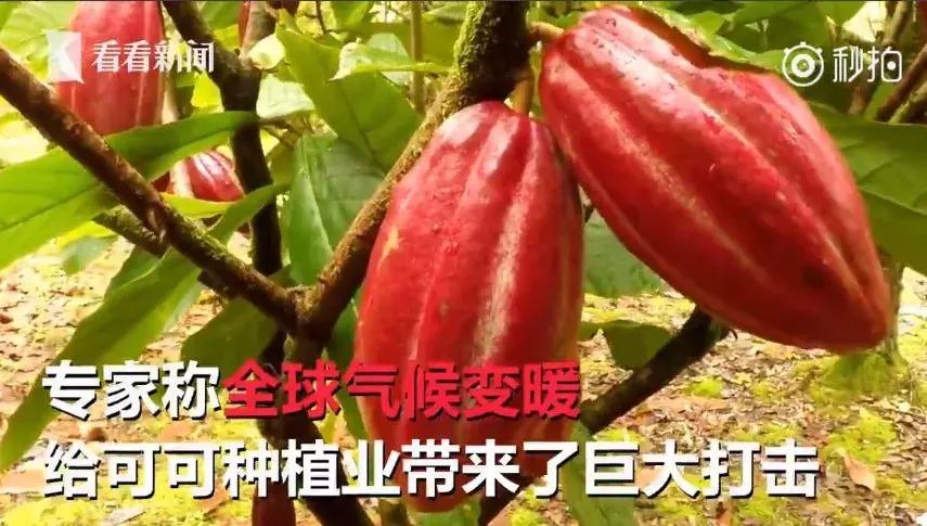 吉他手都懂的动作,吉他手大家都称呼什么