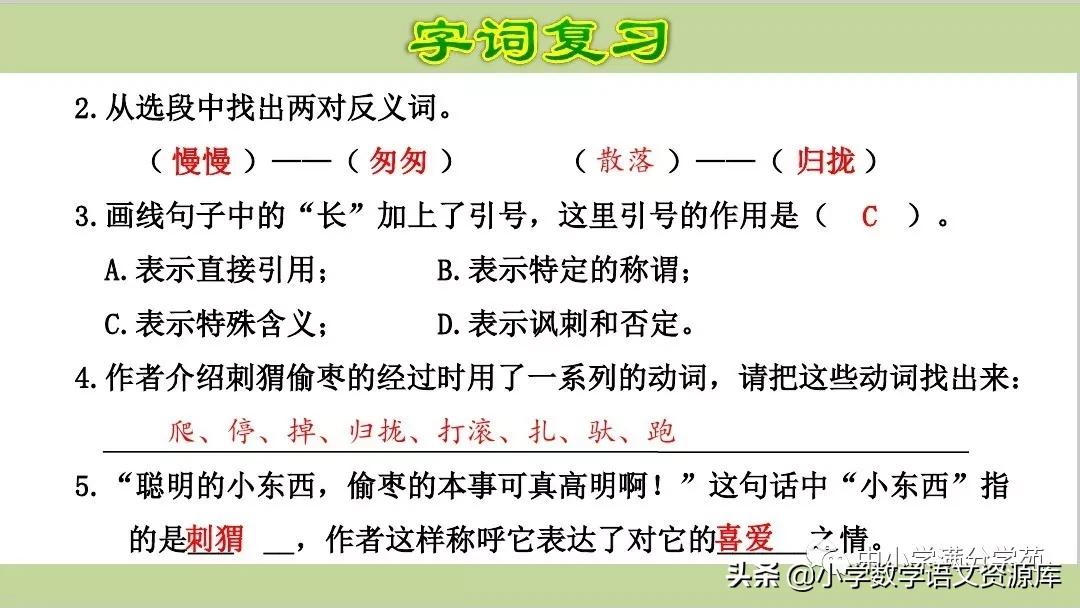 人教版三年级上册语文阅读题期末,小学三年级语文阅读理解教学视频