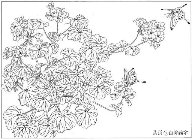 现代国画工笔花鸟白描及完整版,路雨年工笔白描花鸟团扇高清图片