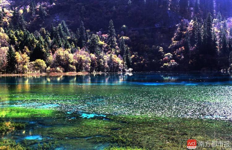 江西景点排名前十,排名前十的景点