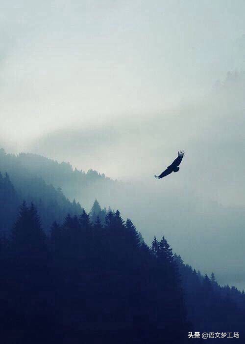 挽联对联及赏析,挽联上的九字对联