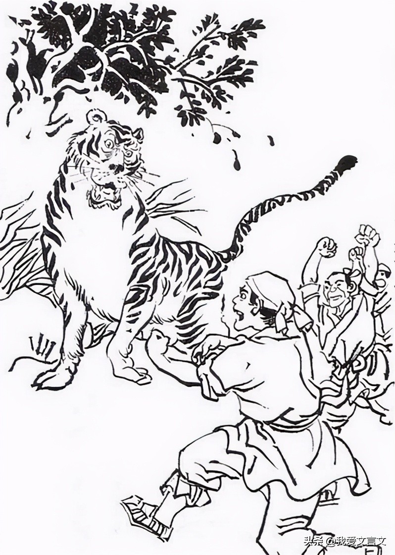 冯妇搏虎的典故,冯妇搏虎翻译