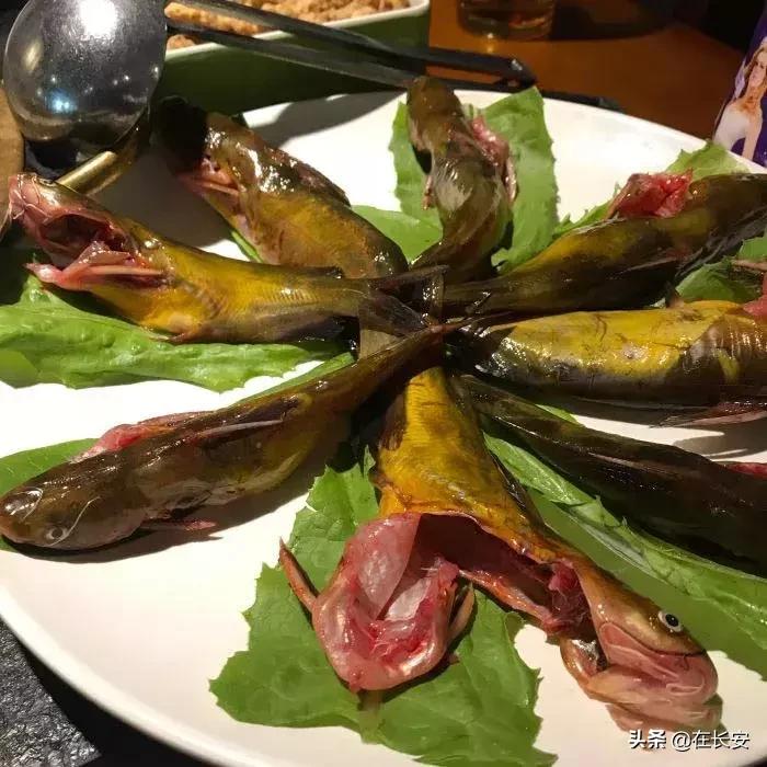 在西安不努力就是逛不完的康复路,西安人不去西安景点逛为什么