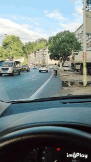 沙漠骆驼搞笑版网课,搞笑版沙漠骆驼上课