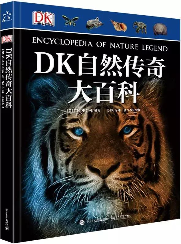 被封神的DK儿童科普书籍，到底哪些值得读？建议家长入手前看这篇