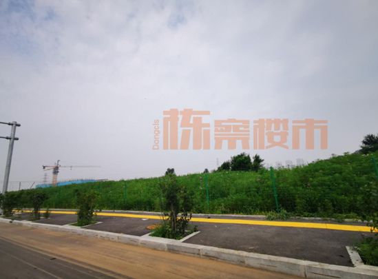 沈阳地王最新消息,最新沈阳地王消息