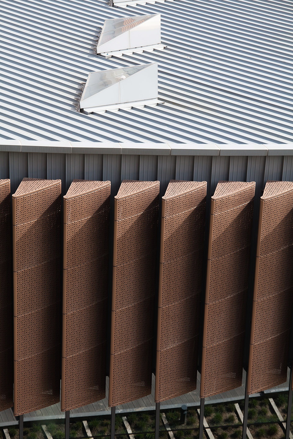 高校体育馆设计,大学体育馆设计效果图