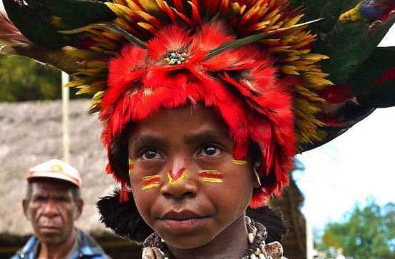 丹尼索瓦人化石,丹尼索瓦人南方古猿人