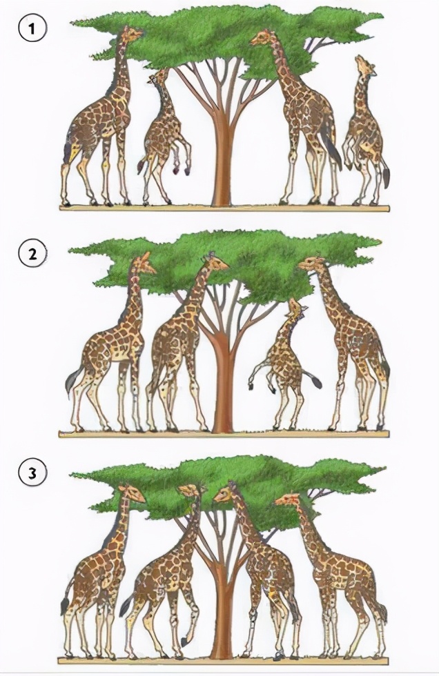 腋毛、阴毛和头发的用处是什么？为什么它们被保留下来了？