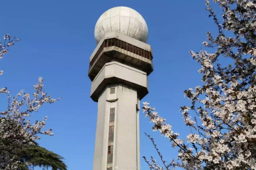 中国最好的大学食堂排名,南京高校餐厅哪家好