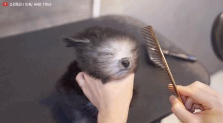 tony老师高阶换头术,90后tony老师换头术