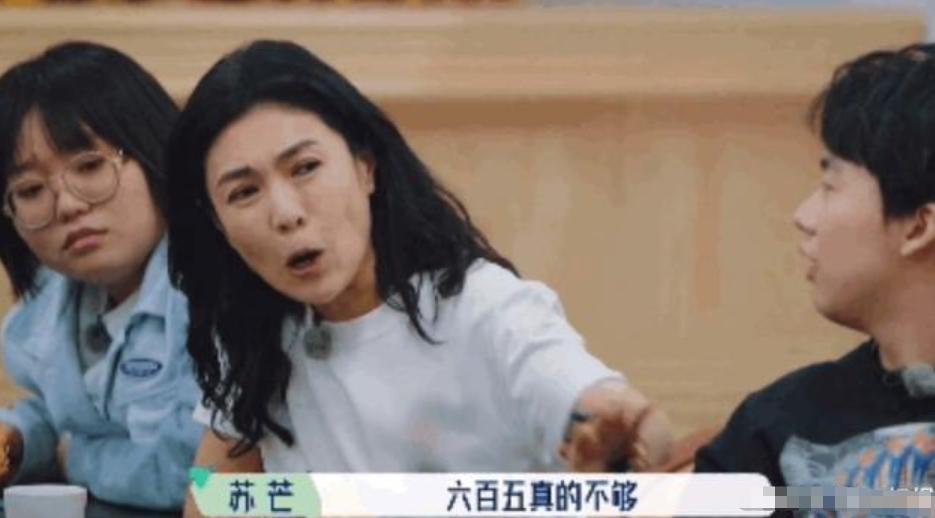 桃花坞收视率好吗,桃花坞首播惹争议