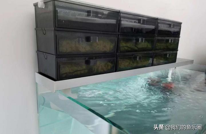 鱼缸过滤器最新款一米二缸,圆鱼缸过滤器最新款免换水