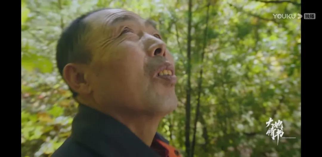 东北跑山是什么样子的,松花江采冰视频