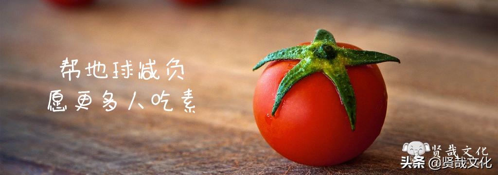 原来这些明星竟然多年坚持素食主义，长期吃素会怎么样？