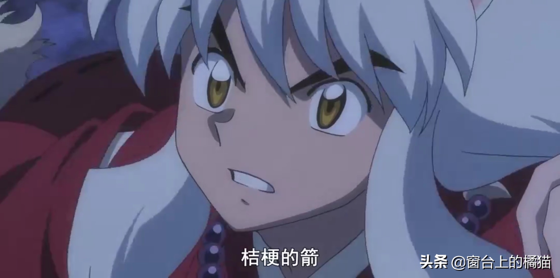 犬夜叉第二部半妖的夜叉姬15,犬夜叉第二部夜叉姬大结局21