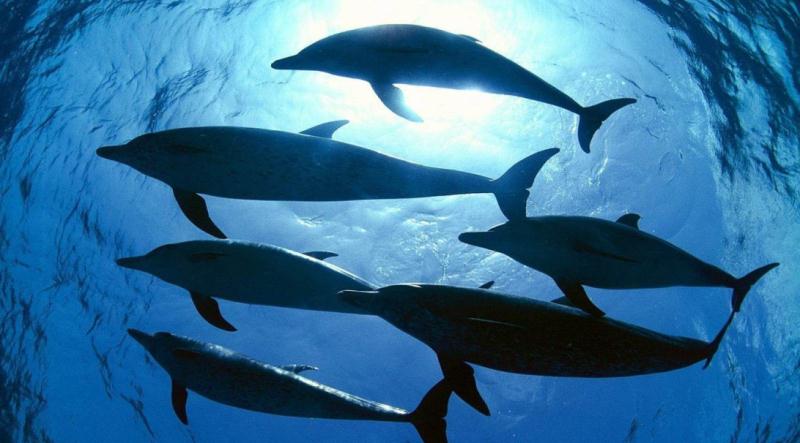 6000可以旅游的地方,6000元能去哪儿玩