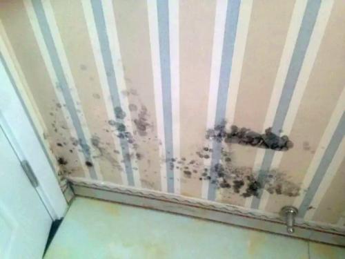 怎样修复墙纸下墙面鼓包爆皮,贴了墙纸后墙面鼓包怎么处理