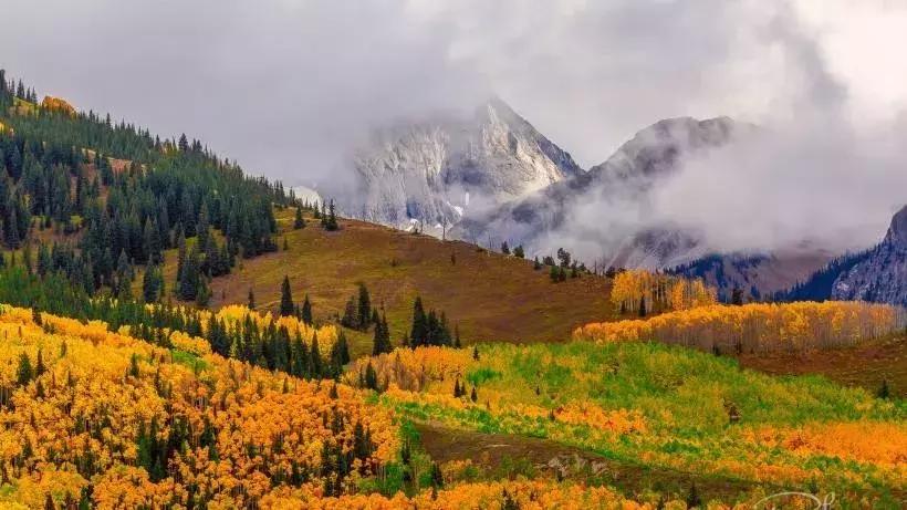 最美的九月您要的会展节赛演全都有啦