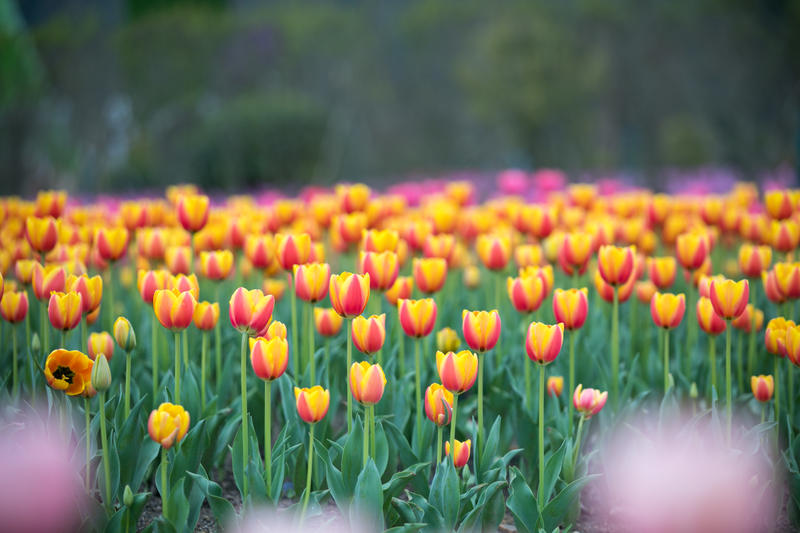 南昌月亮湾一日游最佳攻略,南昌月亮湾旅游攻略和自驾游攻略