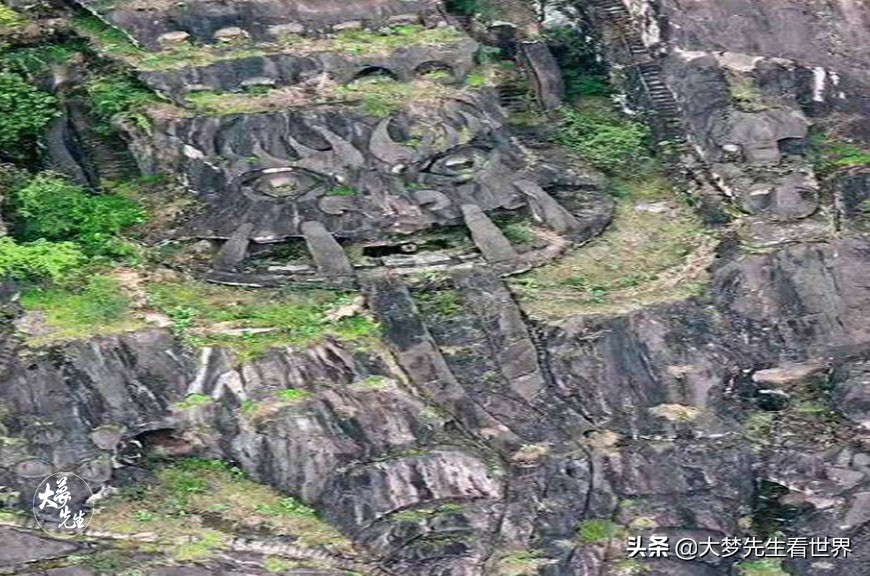 世界上最大的龟比地球还要大,世界上最大的鬼有多大