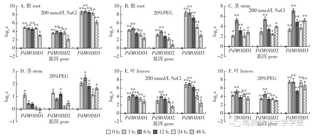 论文推荐||欧美杨PdMODD基因克隆与表达特性分析