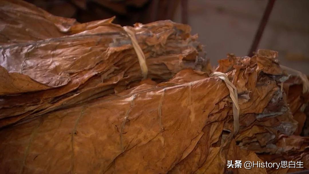 吸烟史翻译,吸烟史超过20年