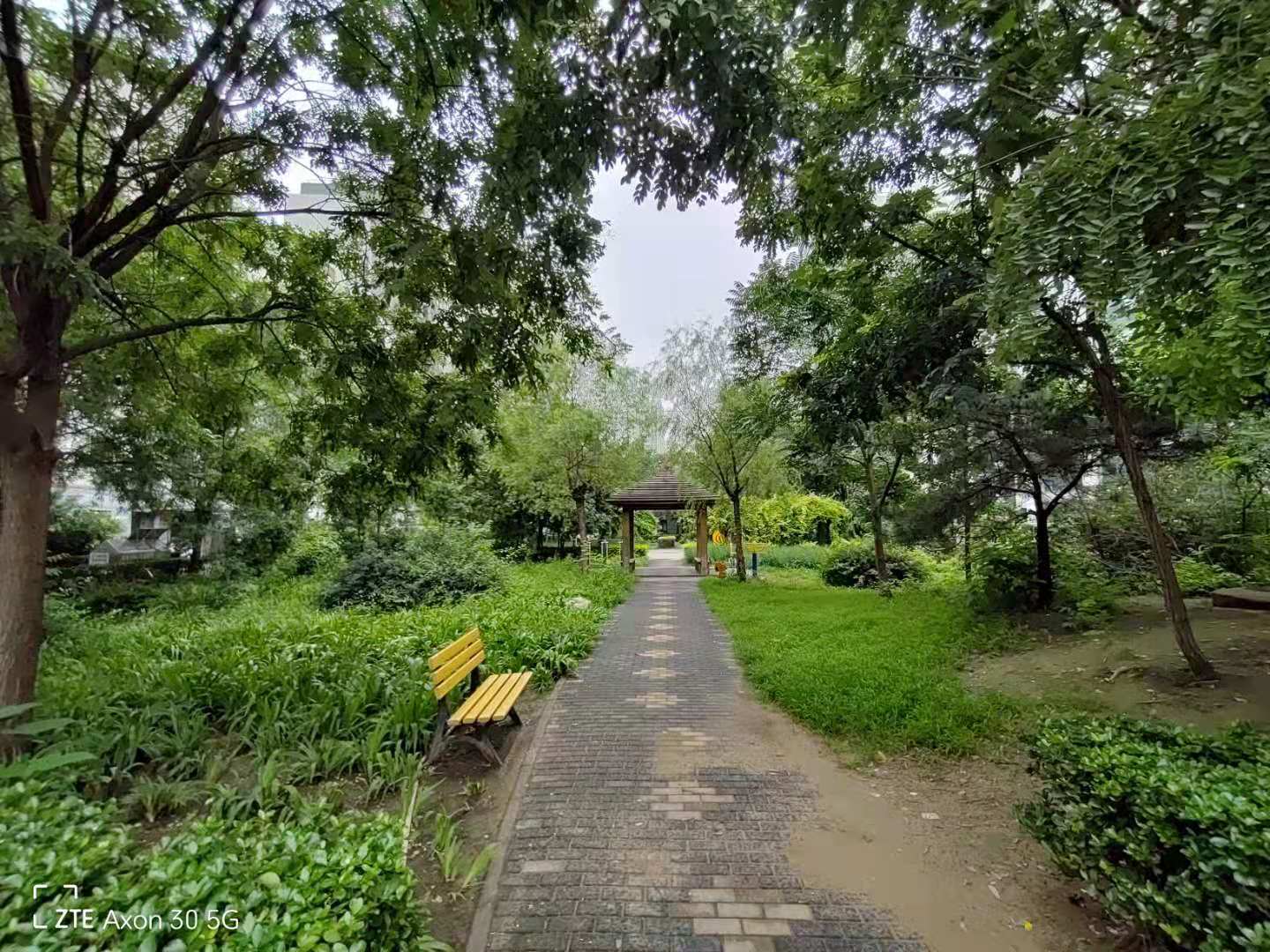 中兴axon305g评测,中兴axon305g屏下版值得买吗