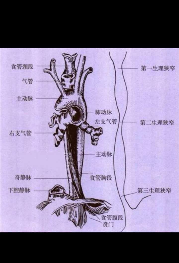 吃东西卡住了急救方法,小孩被异物卡住医生急救视频