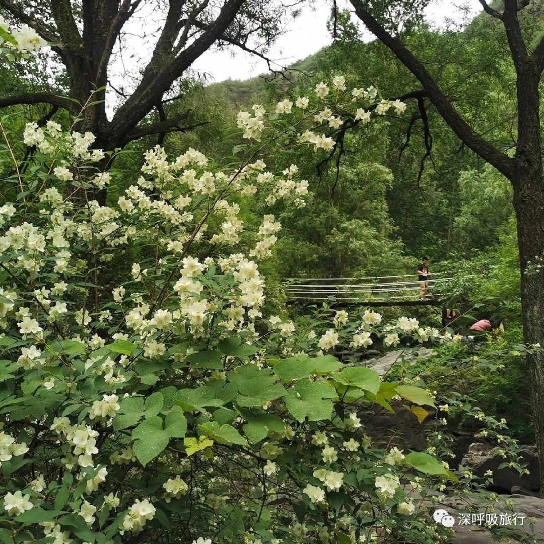 京西小九寨百瀑谷,京西双龙峡小火车图片