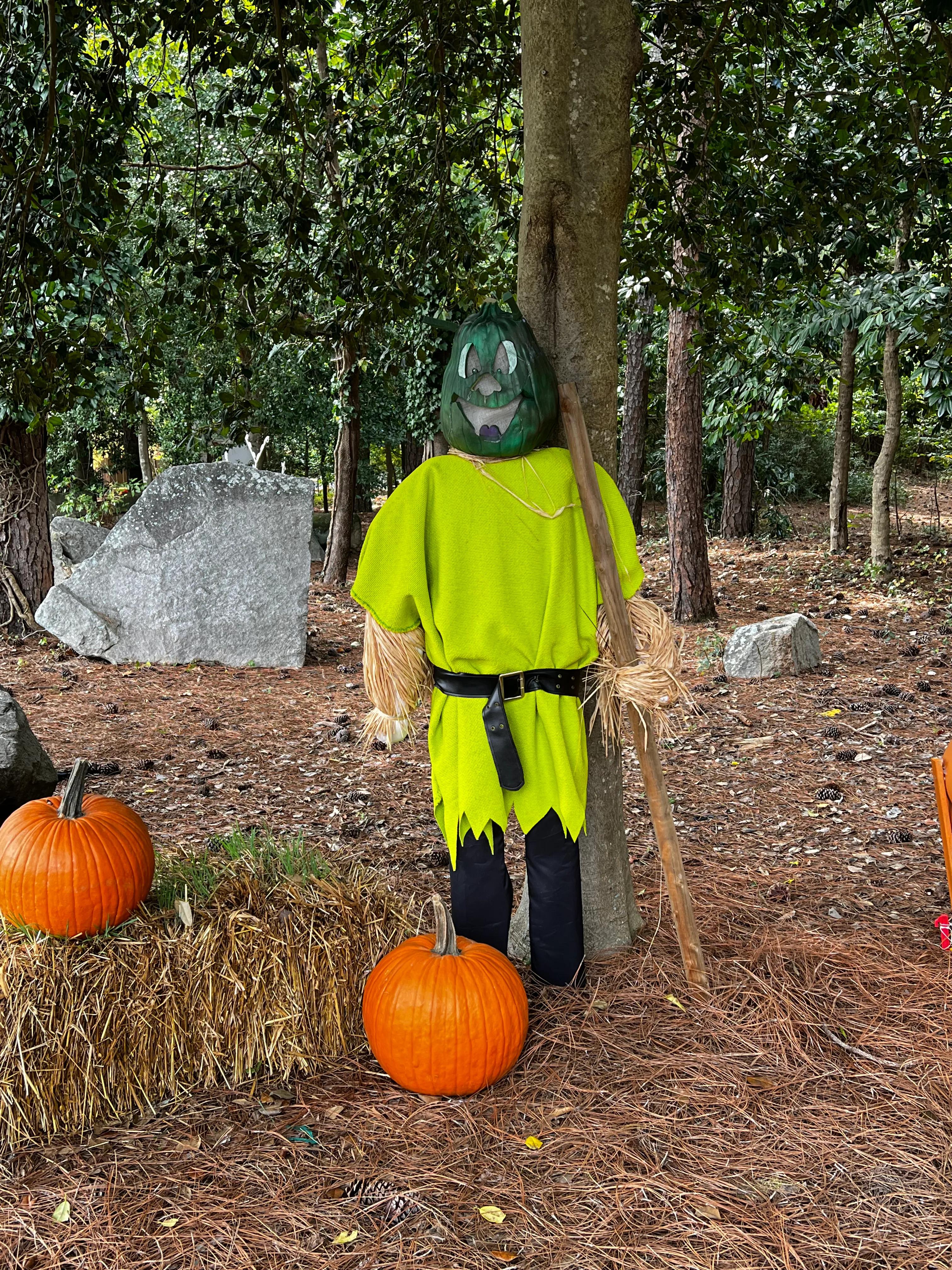 纽约南瓜灯展,美国南瓜灯展