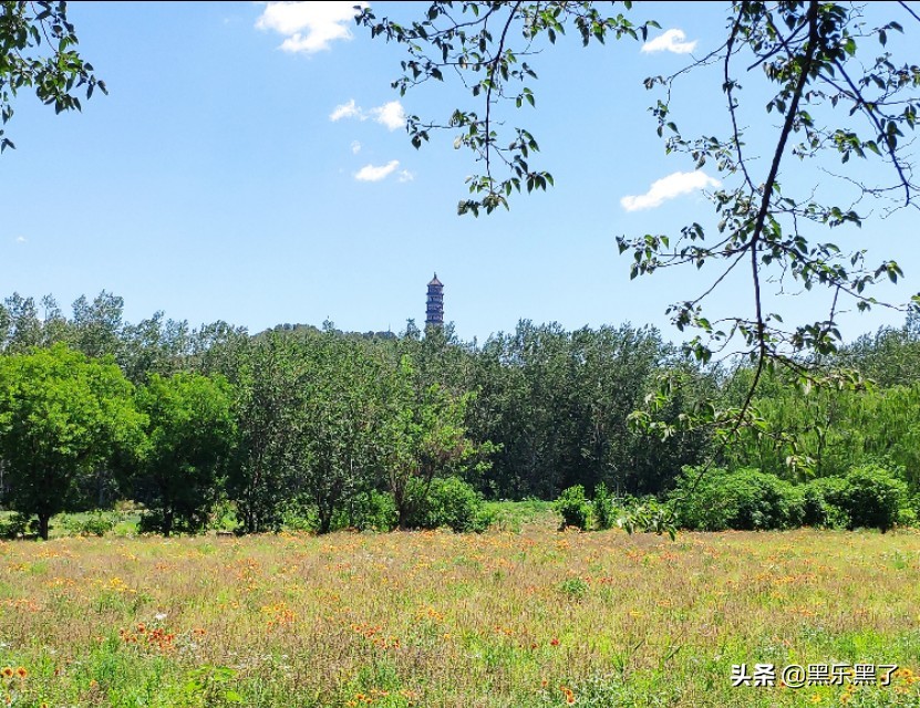 北京石渠公园在哪里,北京石渠公园