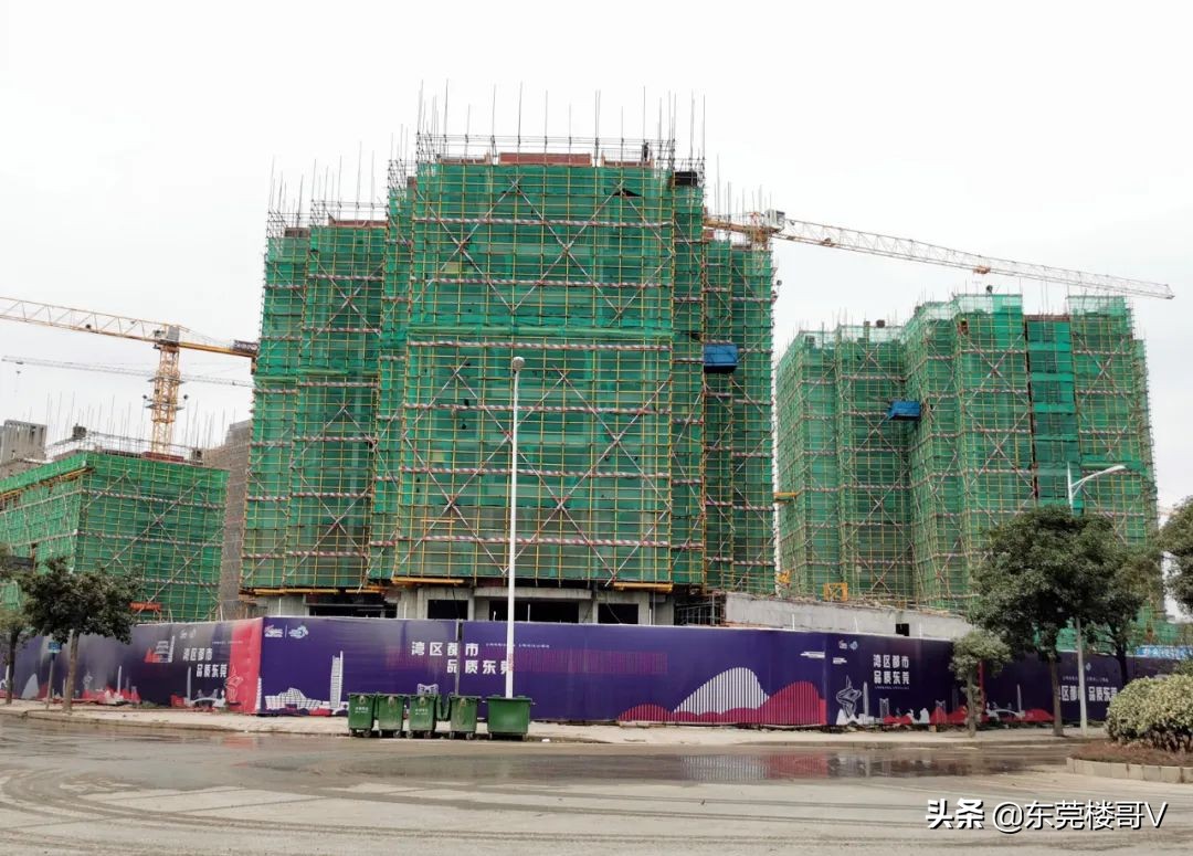 楼哥踩盘深业松湖云城,楼哥踩盘