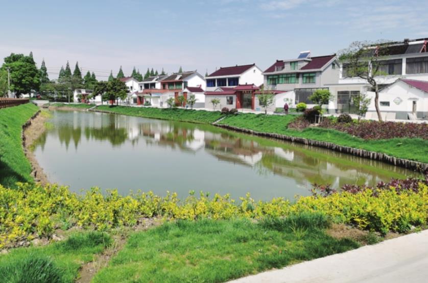 江苏真实的农村面貌,楼房普遍是二三层高,江苏农村没浙江富裕?