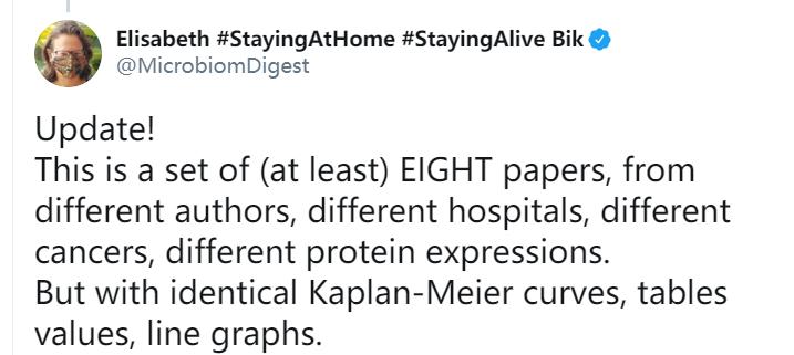 又现“论文工厂”!Bik揭露8篇完全不同的论文,结果却惊人相似